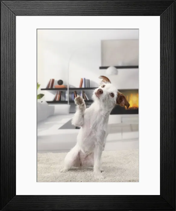 Framed Print : Picture No. 11770788 Framed Print : Picture No. 11770788