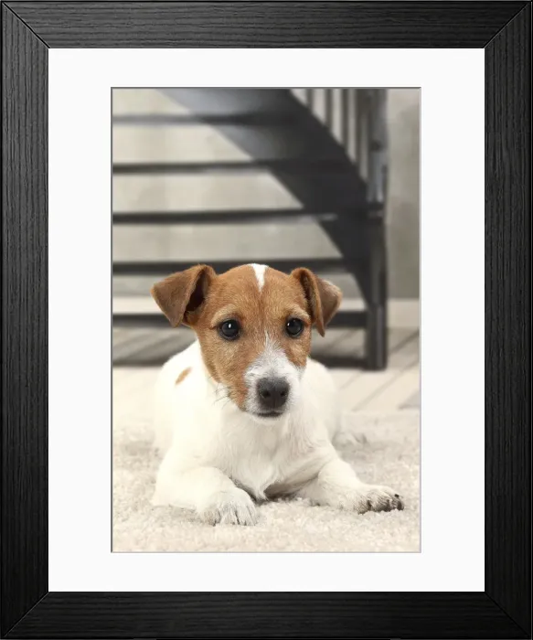 Framed Print : Picture No. 11770792 Framed Print : Picture No. 11770792