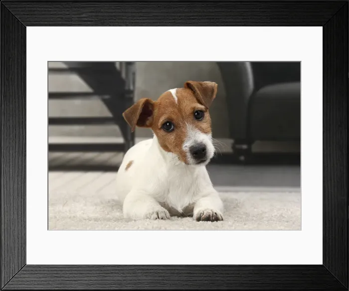 Framed Print : Picture No. 11770793 Framed Print : Picture No. 11770793