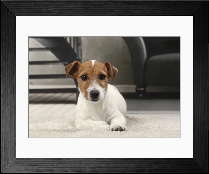Framed Print : Picture No. 11770794 Framed Print : Picture No. 11770794