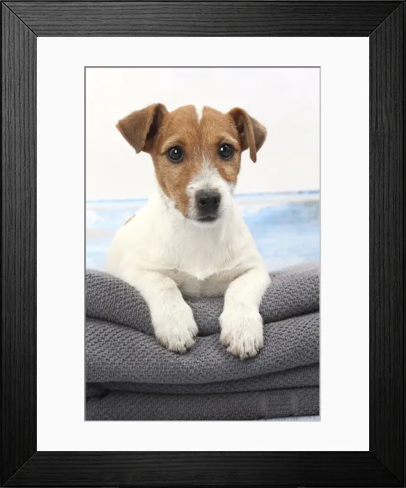 Framed Print : Picture No. 11770795 Framed Print : Picture No. 11770795