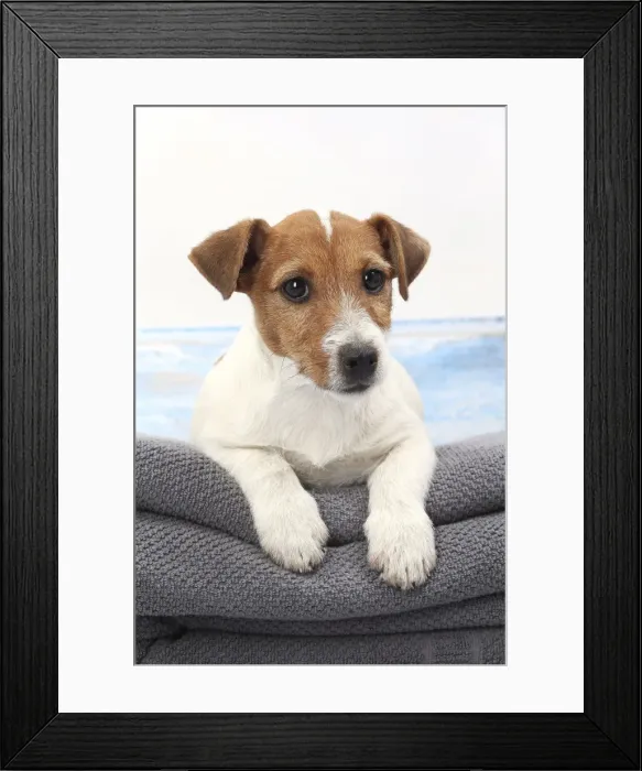 Framed Print : Picture No. 11770796 Framed Print : Picture No. 11770796
