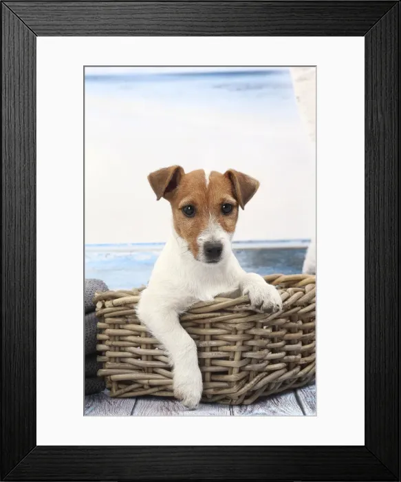 Framed Print : Picture No. 11770797 Framed Print : Picture No. 11770797