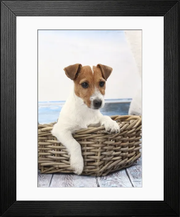 Framed Print : Picture No. 11770798 Framed Print : Picture No. 11770798