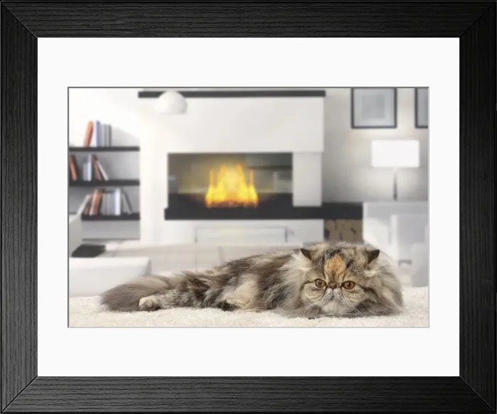Framed Print : Picture No. 11770812 Framed Print : Picture No. 11770812