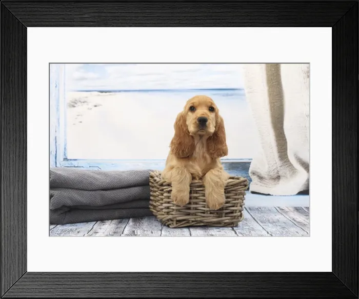 Framed Print : Picture No. 11770823 Framed Print : Picture No. 11770823
