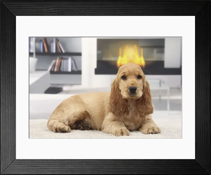 Framed Print : Picture No. 11770830 Framed Print : Picture No. 11770830