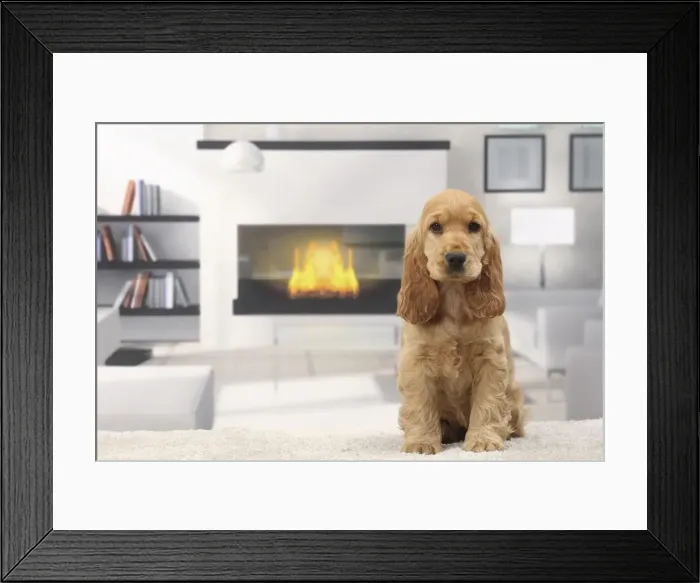 Framed Print : Picture No. 11770829 Framed Print : Picture No. 11770829