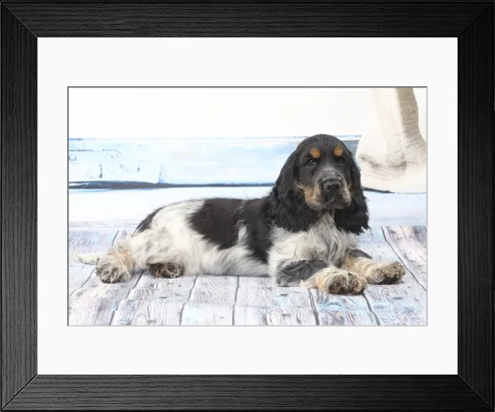 Framed Print : Picture No. 11770834 Framed Print : Picture No. 11770834
