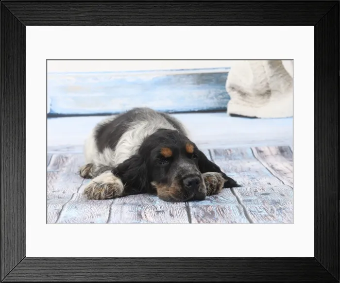 Framed Print : Picture No. 11770836 Framed Print : Picture No. 11770836