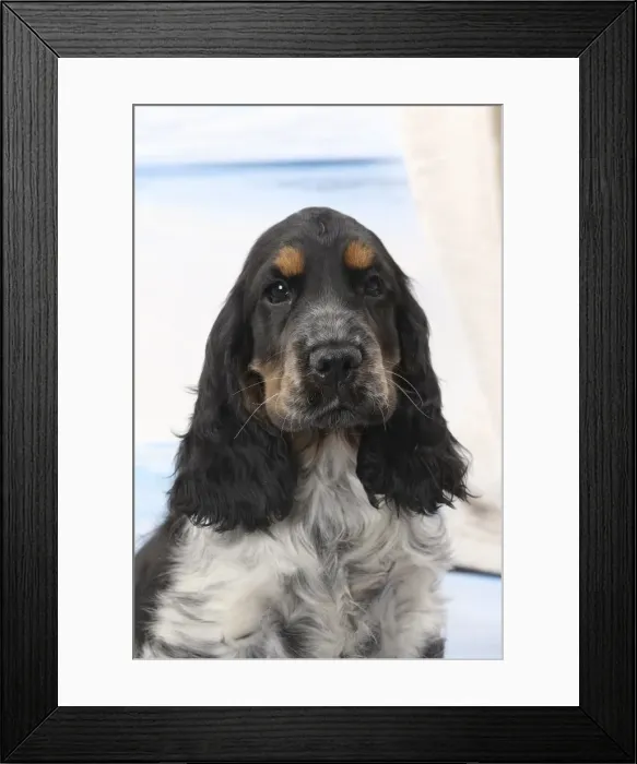 Framed Print : Picture No. 11770837 Framed Print : Picture No. 11770837