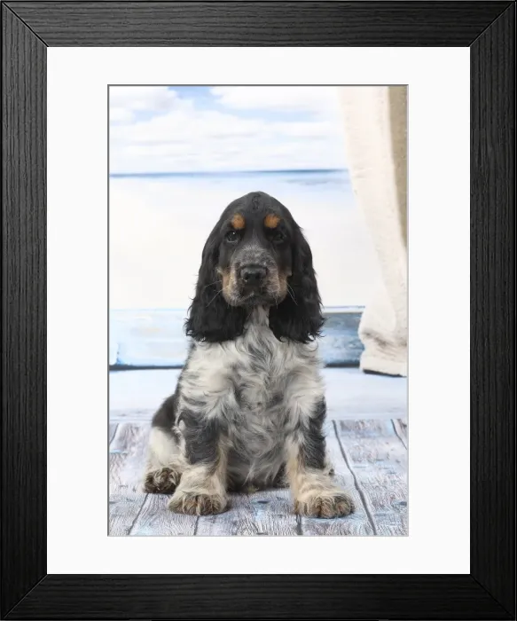 Framed Print : Picture No. 11770838 Framed Print : Picture No. 11770838