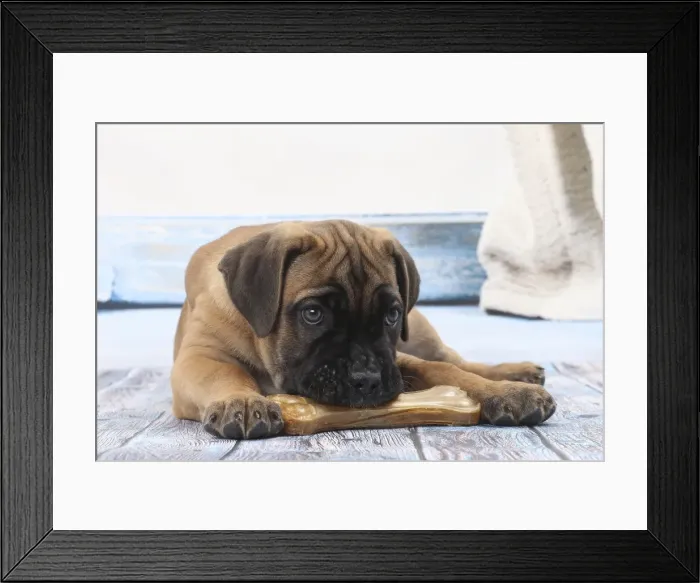 Framed Print : Picture No. 11770839 Framed Print : Picture No. 11770839
