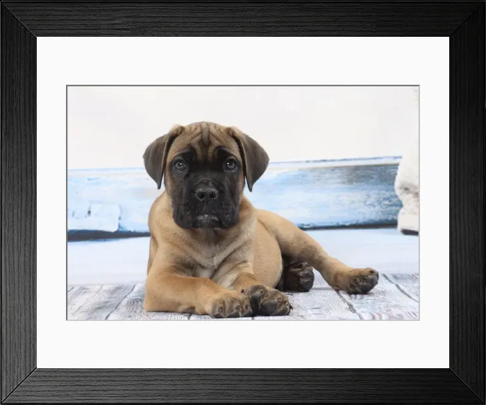 Framed Print : Picture No. 11770842 Framed Print : Picture No. 11770842