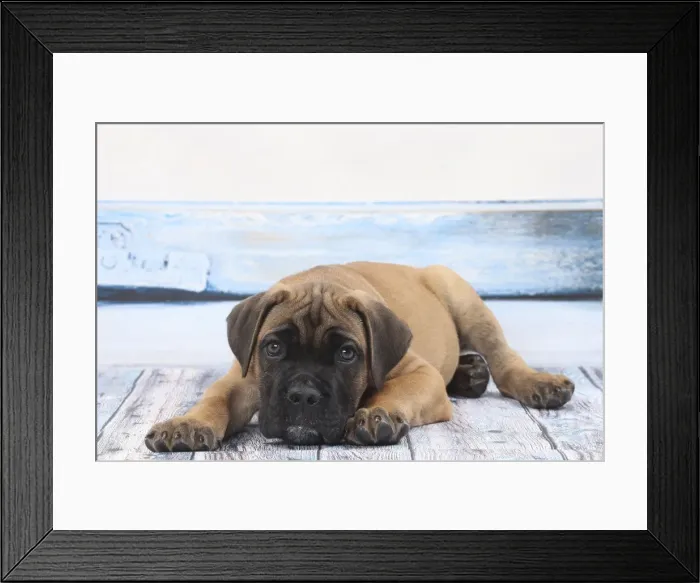 Framed Print : Picture No. 11770843