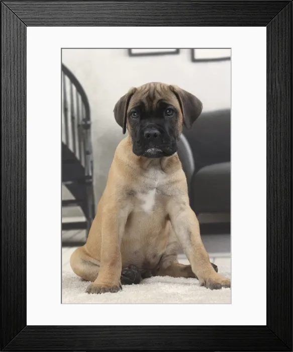 Framed Print : Picture No. 11770844 Framed Print : Picture No. 11770844