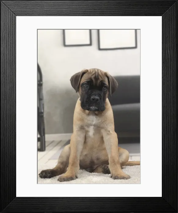 Framed Print : Picture No. 11770845 Framed Print : Picture No. 11770845