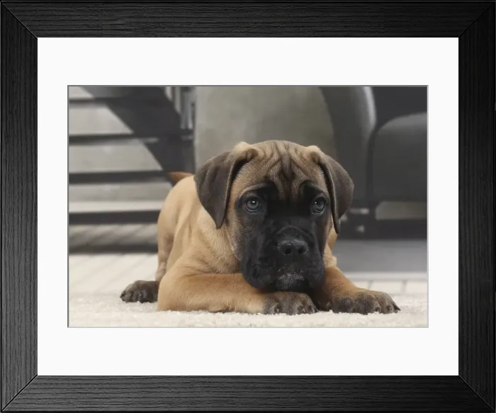 Framed Print : Picture No. 11770846 Framed Print : Picture No. 11770846
