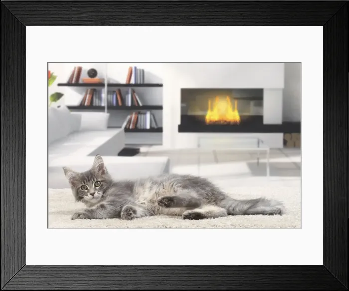 Framed Print : Picture No. 11770866 Framed Print : Picture No. 11770866