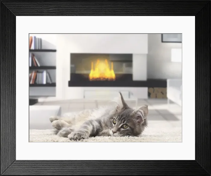 Framed Print : Picture No. 11770868 Framed Print : Picture No. 11770868