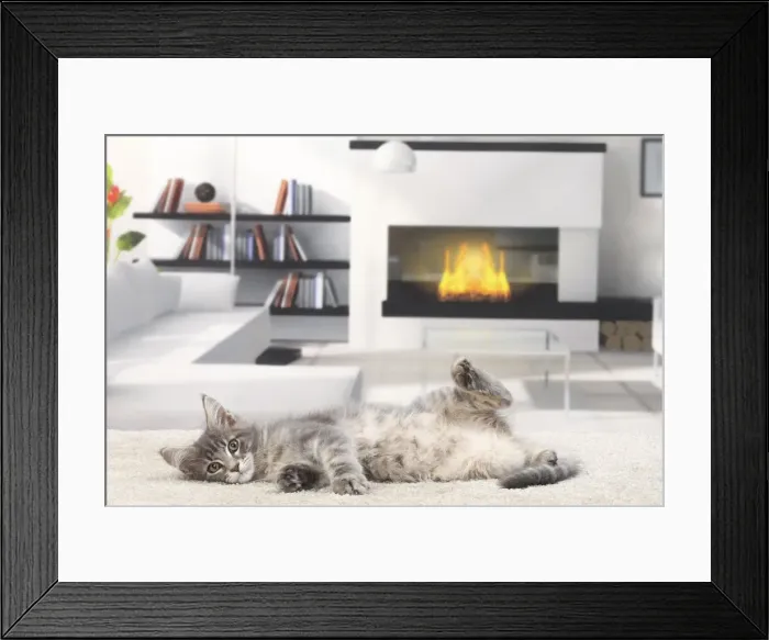 Framed Print : Picture No. 11770867 Framed Print : Picture No. 11770867