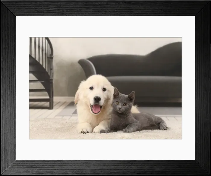 Framed Print : Picture No. 11770886 Framed Print : Picture No. 11770886