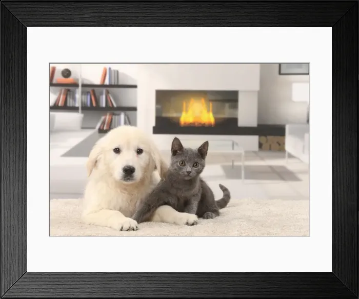 Framed Print : Picture No. 11770889 Framed Print : Picture No. 11770889