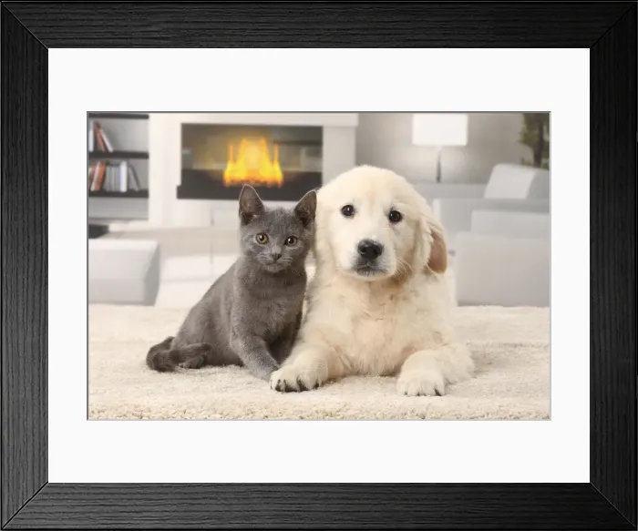 Framed Print : Picture No. 11770891