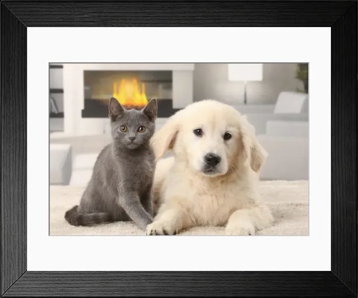 Framed Print : Picture No. 11770890 Framed Print : Picture No. 11770890