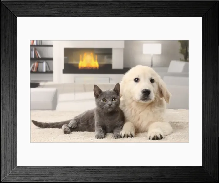 Framed Print : Picture No. 11770892 Framed Print : Picture No. 11770892