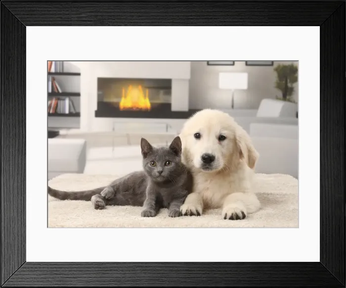 Framed Print : Picture No. 11770893 Framed Print : Picture No. 11770893