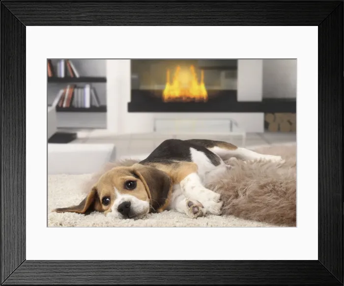 Framed Print : Picture No. 11770958 Framed Print : Picture No. 11770958