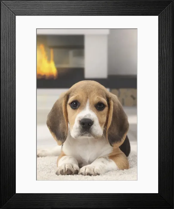Framed Print : Picture No. 11770961 Framed Print : Picture No. 11770961