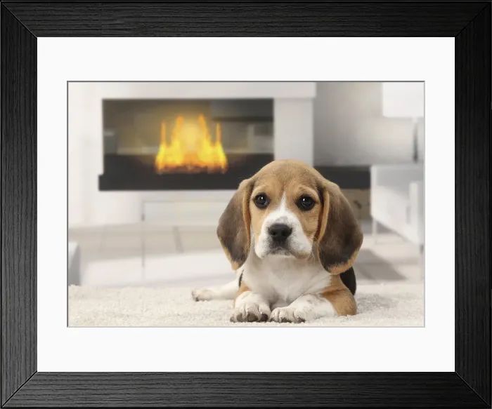 Framed Print : Picture No. 11770962 Framed Print : Picture No. 11770962