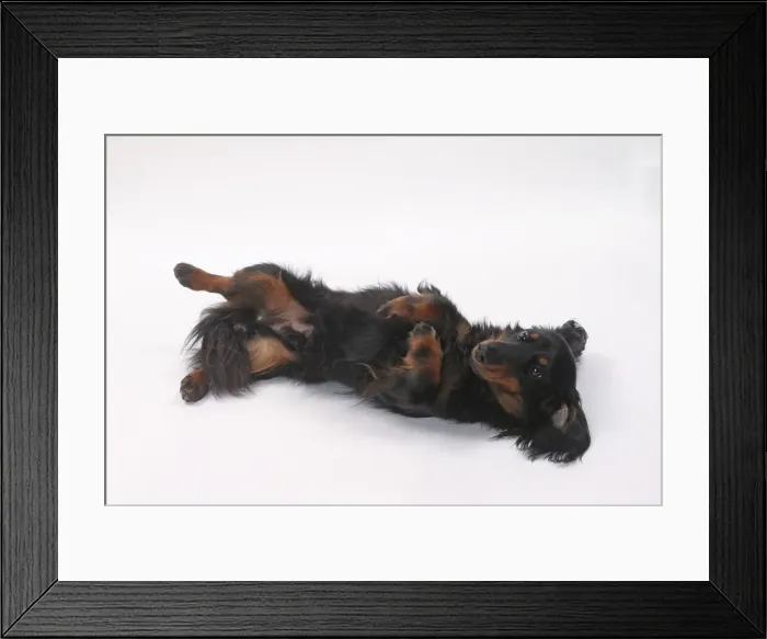 Framed Print : Picture No. 11771002