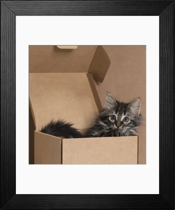Framed Print : Picture No. 11771074 Framed Print : Picture No. 11771074