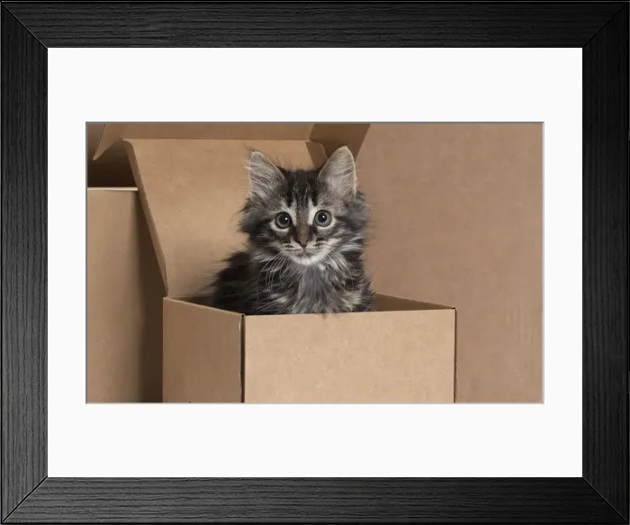 Framed Print : Picture No. 11771075 Framed Print : Picture No. 11771075