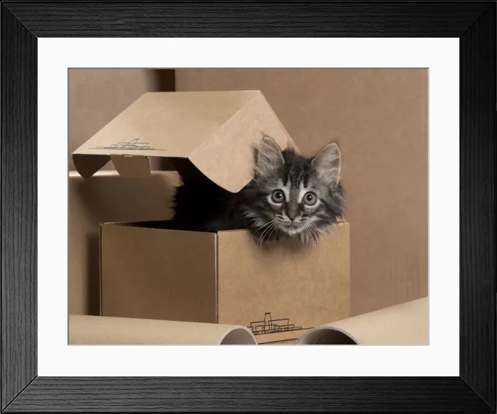 Framed Print : Picture No. 11771078 Framed Print : Picture No. 11771078
