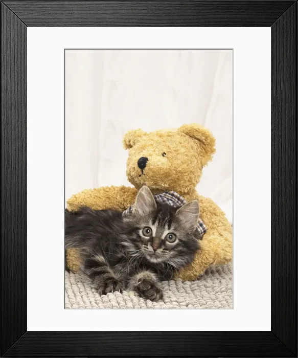 Framed Print : Picture No. 11771171 Framed Print : Picture No. 11771171