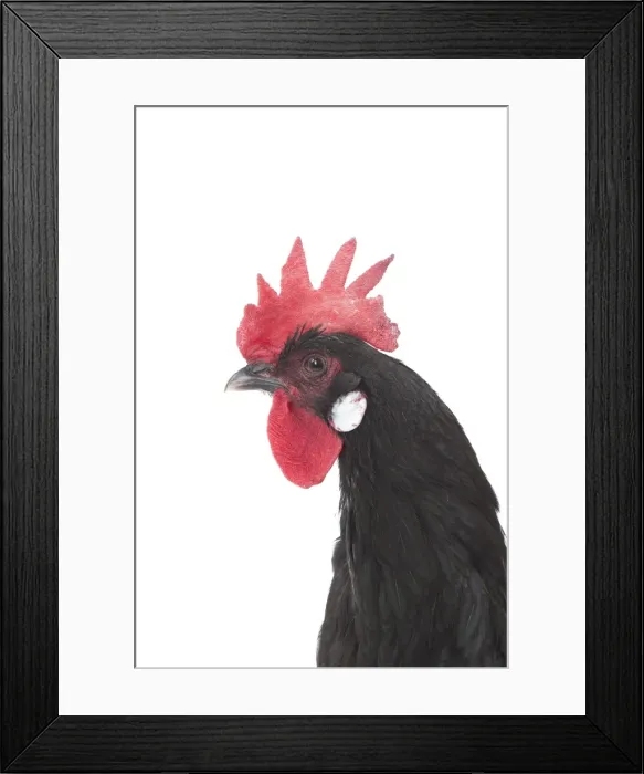 Framed Print : Picture No. 11771190 Framed Print : Picture No. 11771190