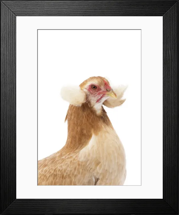 Framed Print : Picture No. 11771246 Framed Print : Picture No. 11771246