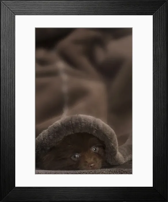 Framed Print : Picture No. 11771473 Framed Print : Picture No. 11771473