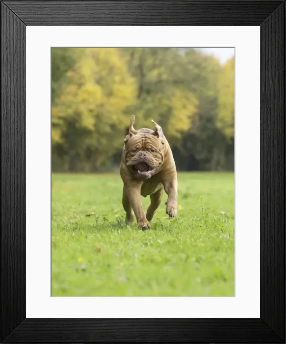 Framed Print : Picture No. 11771588 Framed Print : Picture No. 11771588