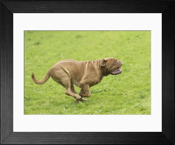 Framed Print : Picture No. 11771613 Framed Print : Picture No. 11771613