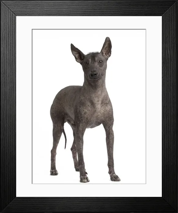 Framed Print : Picture No. 11771632 Framed Print : Picture No. 11771632