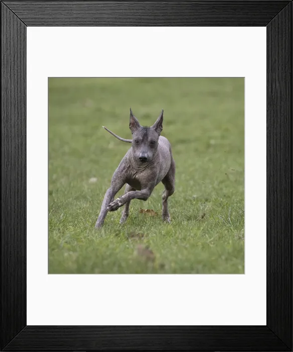 Framed Print : Picture No. 11771647 Framed Print : Picture No. 11771647