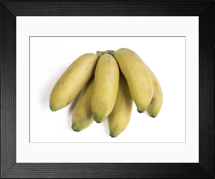 Framed Print : Picture No. 11771762 Framed Print : Picture No. 11771762