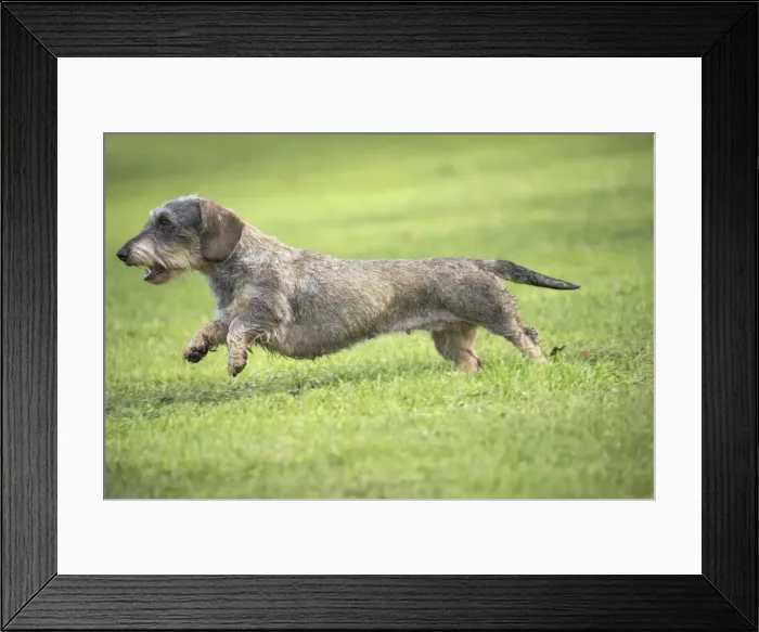 Framed Print : Picture No. 11771792 Framed Print : Picture No. 11771792