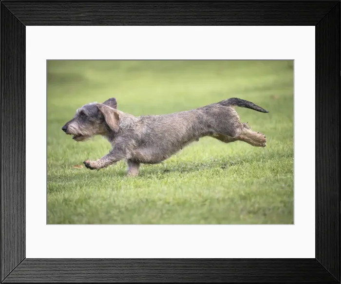 Framed Print : Picture No. 11771793 Framed Print : Picture No. 11771793