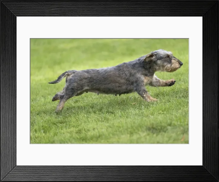 Framed Print : Picture No. 11771794 Framed Print : Picture No. 11771794